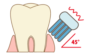 歯周ポケットに対して４５度の角度で磨くバス法という歯の磨き方