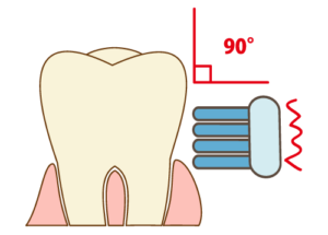 歯に対して歯ブラシを９０度(舌側は４５度)に当てて磨くスクラビング法という歯の磨き方